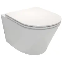 Унитаз подвесной Jacob Delafon Rodin+ EDY102-00 + E23280-00 безободковый, с сиденьем микролифт, белый