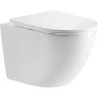 Унитаз подвесной GID Tr2198TFB безободковый, торнадо, с сиденьем микролифт, белый