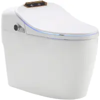 Электронный унитаз-биде напольный Timo ТЕ-731 торнадо, с сиденьем микролифт, белый