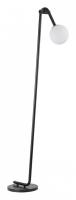 Торшер Lumion Dexter 6500/1F