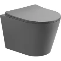 Унитаз подвесной Aquatek Вега AQ1905-MG безободковый, с сиденьем микролифт, серый матовый