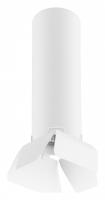 Накладной светильник Lightstar Rullo R496436