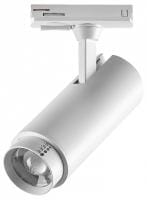 Светильник на штанге Lightstar Fuoco P+CCT 218016
