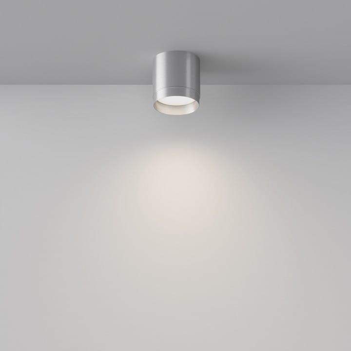 Накладной светильник Maytoni Technical Полярный C088CL-GX53-S