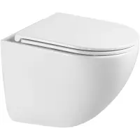 Унитаз подвесной Terminus Аврора Monolit 01WM49x36W безободковый, торнадо, с сиденьем микролифт, белый