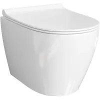 Унитаз подвесной WasserKRAFT Mindel H002.E034 безободковый, с сиденьем микролифт, белый глянец