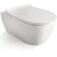 Унитаз подвесной SSWW NC2019 с сиденьем микролифт, белый