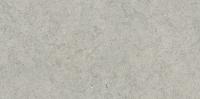 Italon Керамический гранит Forum Керамогранит Stone Silver 60x120 натуральный