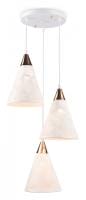 Подвесной светильник Ambrella Light TR TR8433