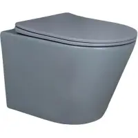 Унитаз подвесной GID Tr2130Gm безободковый, с сиденьем микролифт, серый матовый