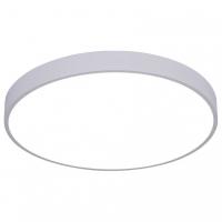 Накладной светильник Arte Lamp Arena A2670PL-1WH