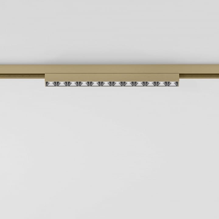Накладной светильник Elektrostandard  85528/01