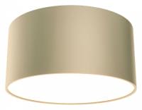 Накладной светильник Maytoni Technical Зон C032CL-12W4K-RD-MG