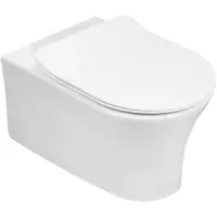 Чаша подвесного унитаза Jacob Delafon Aleo EDAH132-0