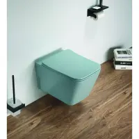 Унитаз подвесной CeramaLux 5170MLG безободковый, с сиденьем микролифт, бирюзовый матовый