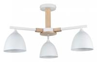 Люстра на штанге Lumion Colange 8095/3C