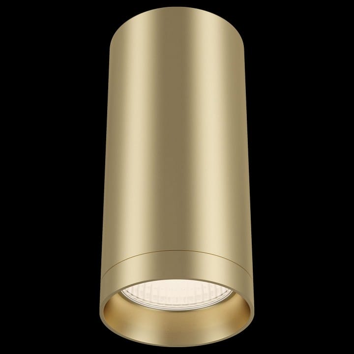 Накладной светильник Maytoni Technical Фокус C010CL-01MG