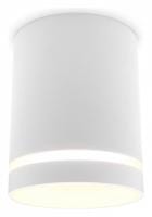 Накладной светильник Ambrella Light TN TN3202