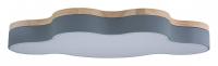 Накладной светильник Loft it Axel 4 10005/36 Grey