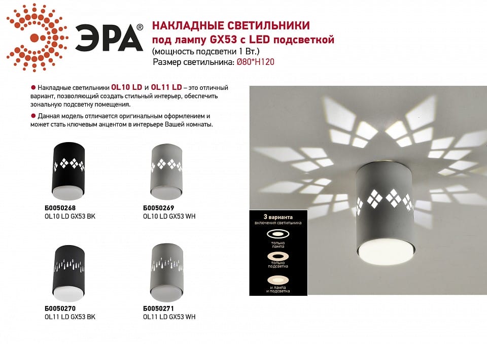 Накладной светильник Эра OL10 Б0050269