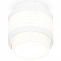 Накладной светильник Ambrella Light XS XS8431001