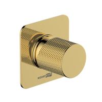 Смеситель для душа WasserKRAFT Ems 7651 золото