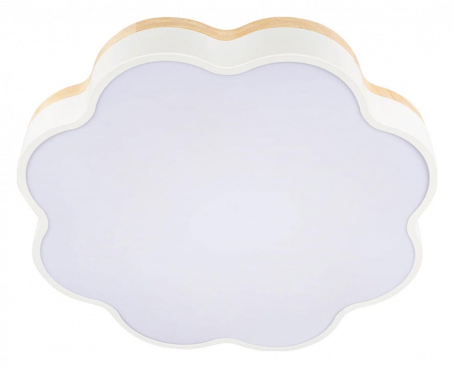 Накладной светильник Loft it Axel 10225/36 White
