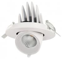 Встраиваемый светильник Jazzway  PLED DL4 18W 4000K 24° White  IP40