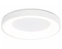 Накладной светильник Ambrella Light FZ FZ1401