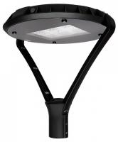 Консольный светильник Jazzway  PGL 03   60w 3000K IP65 BL AC100-270