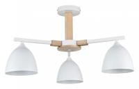 Люстра на штанге Lumion Colange 8095/3C