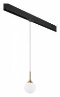 Подвесной светильник Lightstar Globo PRO813013