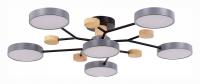 Потолочная люстра EVOLUCE Faema SLE6006-702-06