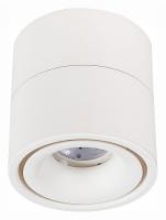 Светильник на штанге ST-Luce ST652 ST652.532.12