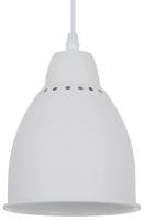 Подвесной светильник Arte Lamp Braccio A2054SP-1WH