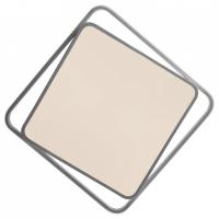 Накладной светильник Freya  FR10030CL-L88W