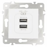 Розетка USB без рамки Arte Milano am-203 203.46-1.white