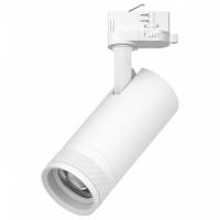 Светильник на штанге Lightstar Canno Pro C4206QT