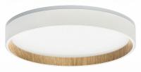 Накладной светильник Citilux Etalon CL750240