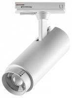 Светильник на штанге Lightstar Fuoco P+CCT 218016