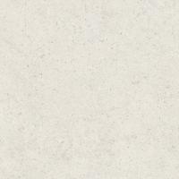 Italon Керамический гранит Forum Керамогранит Stone Polar 80x80 натуральный