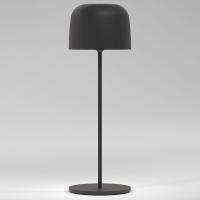 Настольная лампа декоративная Elektrostandard Bitty a069002
