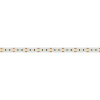 Лента светодиодная Arlight  023559(2)