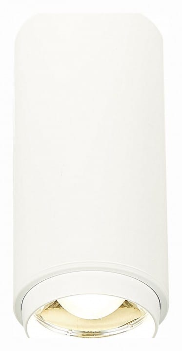 Накладной светильник ST-Luce Zoom ST600.542.10