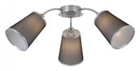 Потолочная люстра EVOLUCE Maleonte SLE103002-03