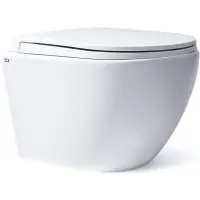 Унитаз подвесной Charus Estella EWC700-121W безободковый, с сиденьем микролифт, белый