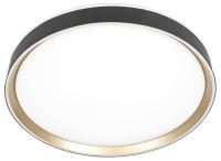 Накладной светильник Citilux BOSS CL751451G