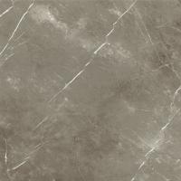 Italon Керамический гранит Stellaris Керамогранит Tuscania Grey 120x120 натуральный