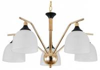 Подвесная люстра Escada Actinidia 2123/5P