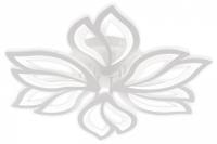 Потолочная люстра Natali Kovaltseva FORTUNA LED LAMPS 81107/6C